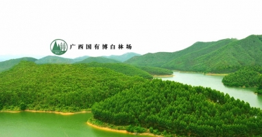 广西国有博白林场与广西徐沃工程机械设备有限公司林业全程机械化示范基地合作协议成功签署